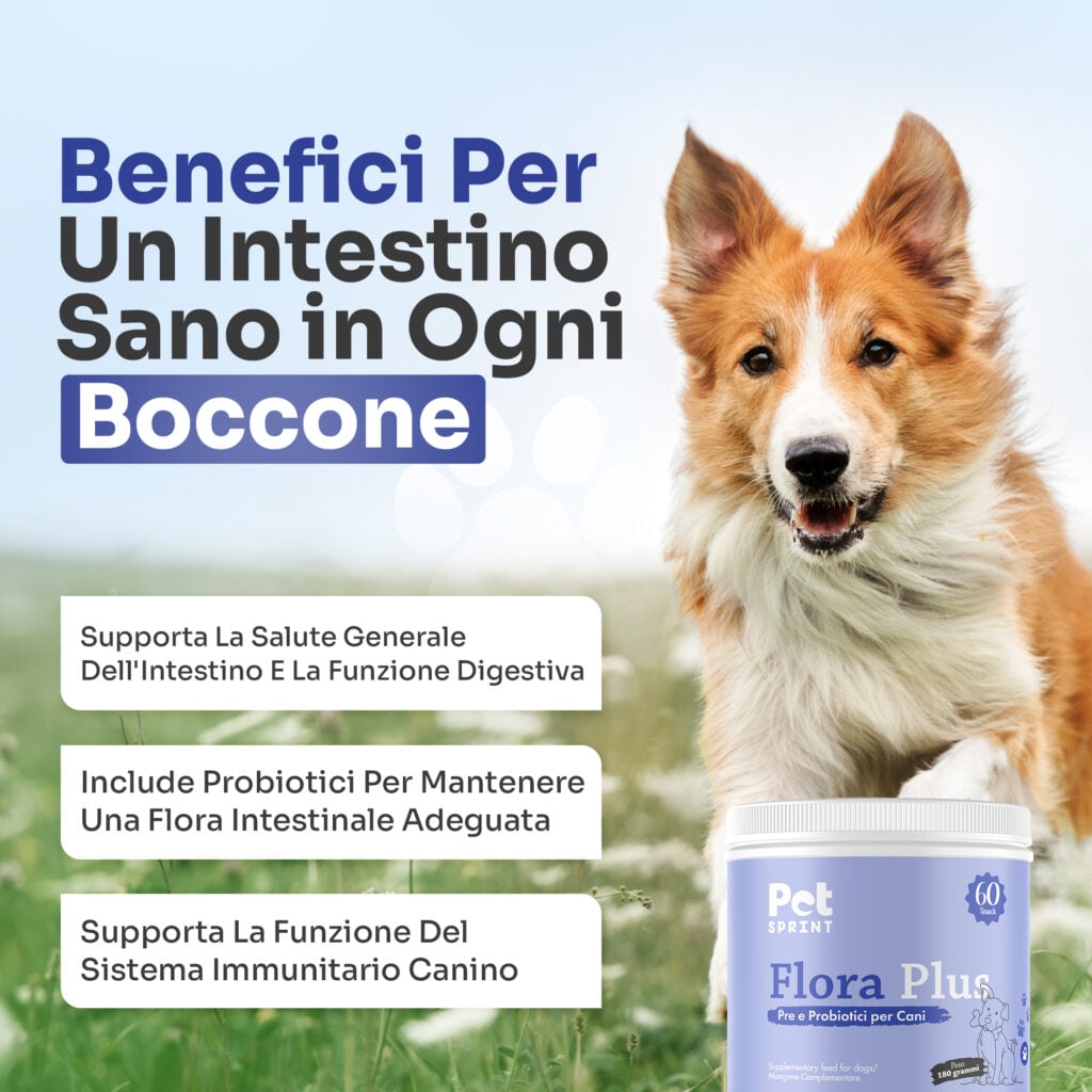 Benefici per un intestino sano in ogni boccone