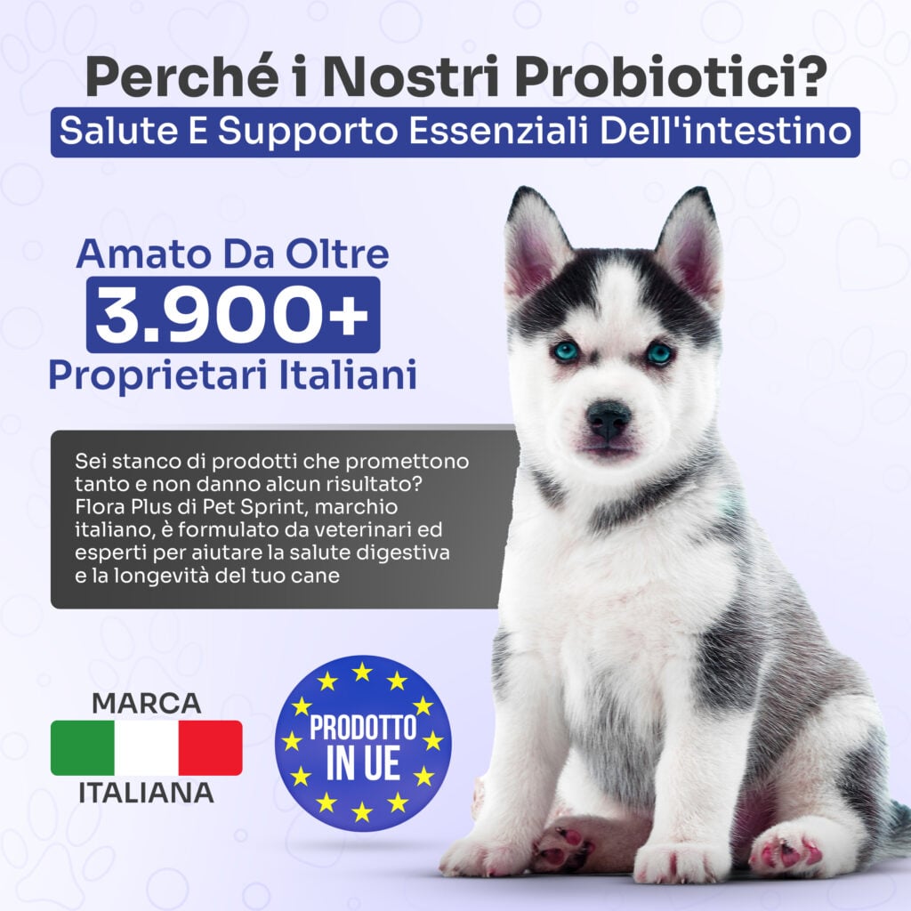 La parola a chi lo usa ogni giorno