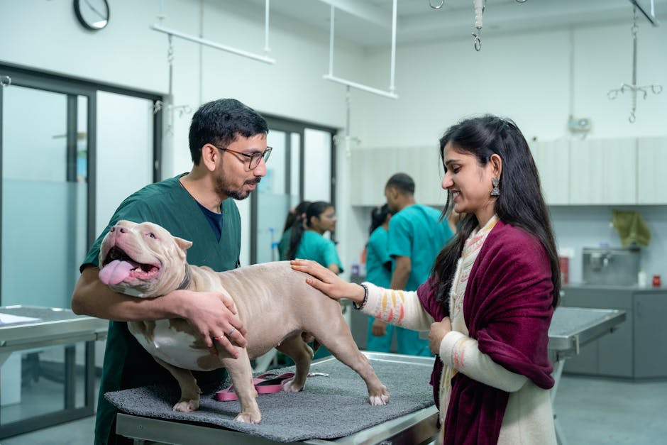 Cane in visita dal veterinario per stitichezza — valutazione clinica
