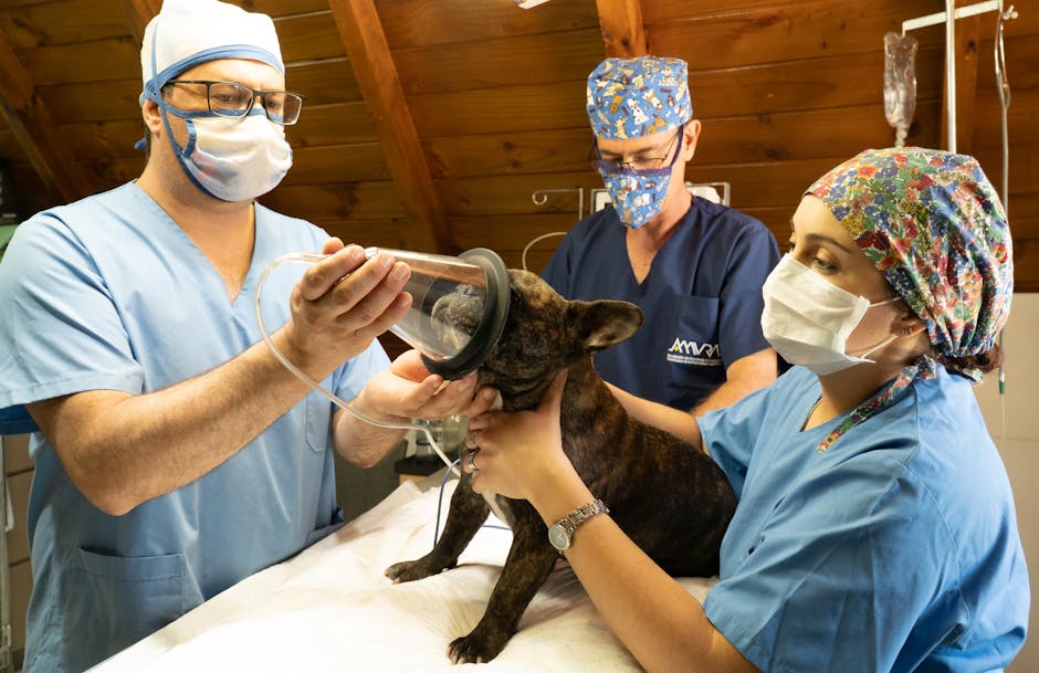 Vomito di sangue nel cane: e sempre un urgenza veterinaria